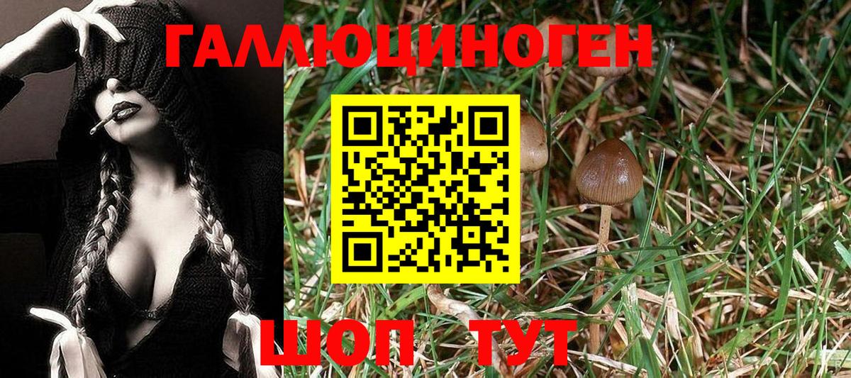 Галлюциногенные грибы MAGIC MUSHROOMS  Вход с VPN  Елизово  Псилоцибиновые грибы GOLDEN TEACHER 