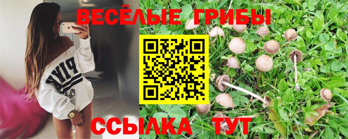 Галлюциногенные грибы Psilocybe Елизово