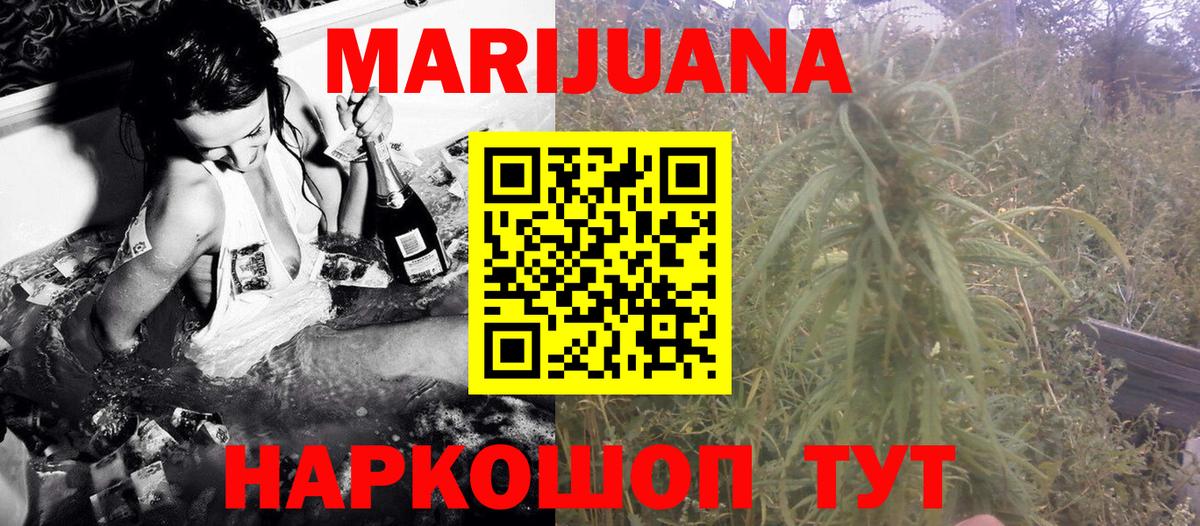 Каннабис сатива Елизово